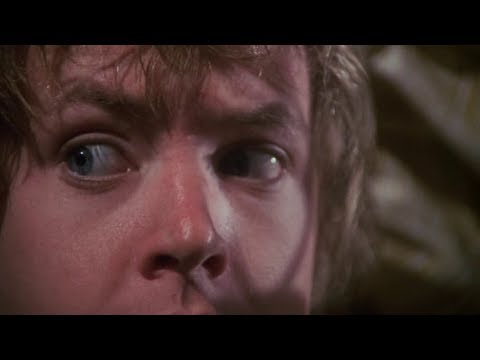 Blu-Ray That Cold Day In The Park (1969) - Edizione UK, Senza Audio Italiano - Foto 5