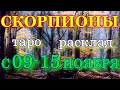 ГОРОСКОП СКОРПИОНЫ С 09 ПО 15 НОЯБРЯ НА НЕДЕЛЮ.2020