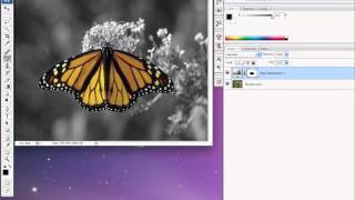Photoshop CS3 - Adjustment Layer