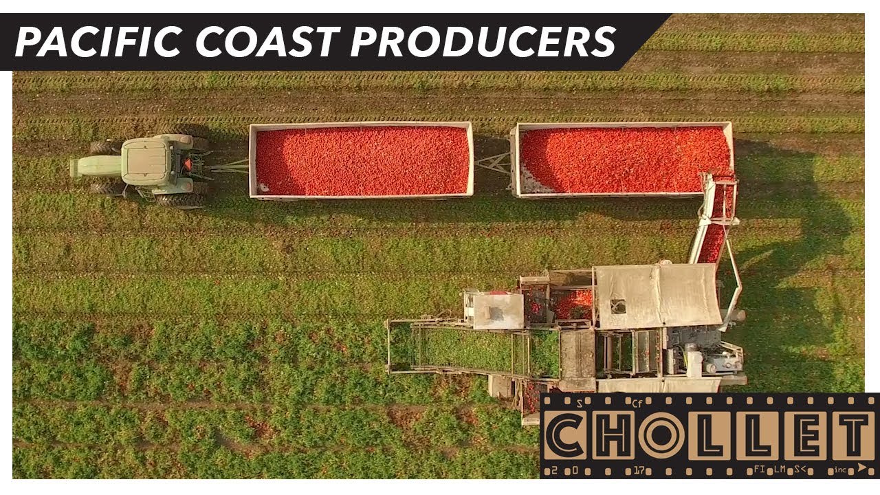 CANNED FOOD ROCKS - Pacific Coast Producers