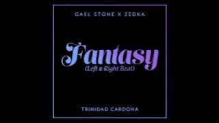 Gael Stone - Fantasy (Left & Right Beat) (feat. Trinidad Cardona) [ Audio]