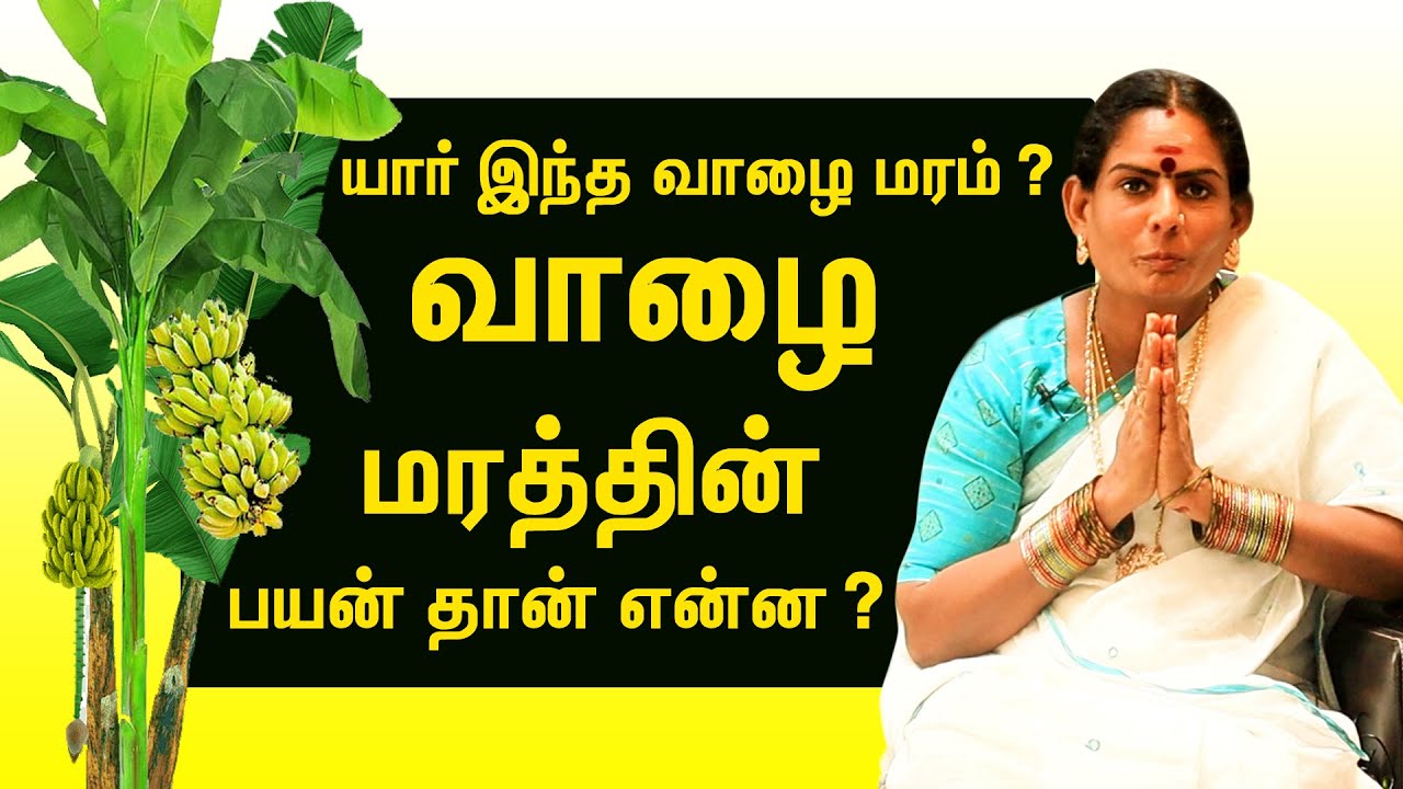 banana tree essay in tamil