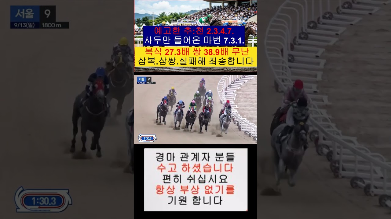 조한별  기수 코차 짜릿한 2등  축하  예고 추:천 2.3.4.7.사두만 복 27.3배 쌍 38.9배