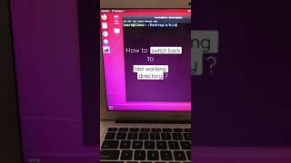 switch back to the last working directory in linux