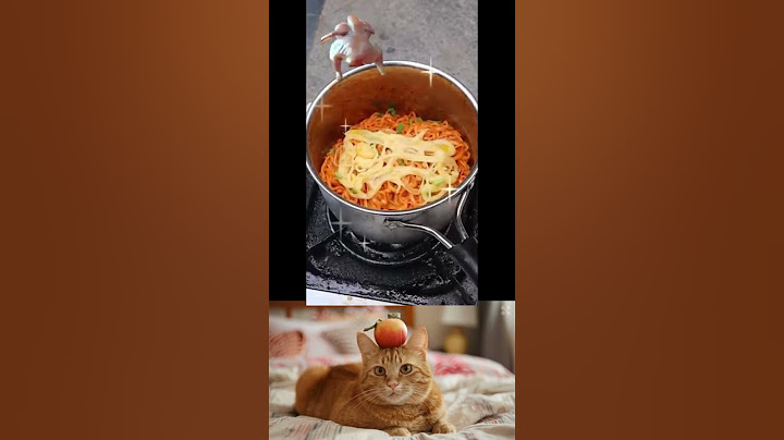 🧀Sharing Tasty Turkey Noodles With The Hungry!🤤🍝| Don’t Waste Food #catvideos #catmemes