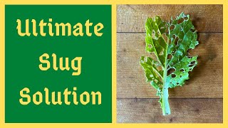 Worlds Greatest Organic Slug Control Solution - Effective Also For Aphids and Cabbage Worms And More screenshot 5