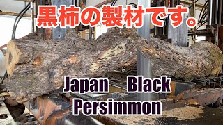 黒柿の製材です。Japan Black Persimmon Sawing!!
