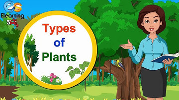 ক্লাস-৩ | বিজ্ঞান অধ্যায় - ৬ - উদ্ভিদ থেকে আমরা যে খাদ্য পাই (পর্ব ৩) পরিমার্জন