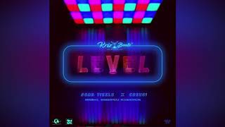 Krizbeatz Feat. Sean Tizzle And Ceeboi - Level (Official Audio)