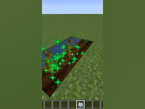 Minecraft Melonen anbauen! shorts YouTube