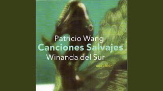 Video thumbnail of "Patricio Wang - Con la Primavera"