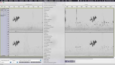 Bird sound editing Audacity tutorial noise reduction   SD 480p   SD 480p