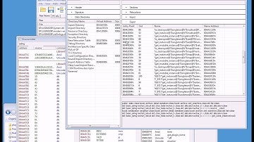 BinRipper, dissasembler, nsis, pe format