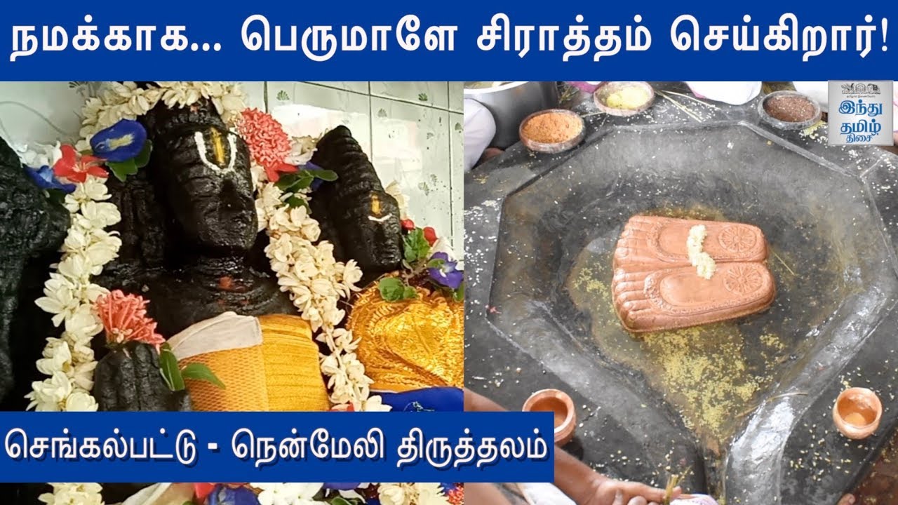 நமக்காக... நம் பித்ருக்களுக்காக... பெருமாளே சிராத்தம் செய்யும் நென்மேலி  திருத்தலம்! | nenmeli perumal - hindutamil.in