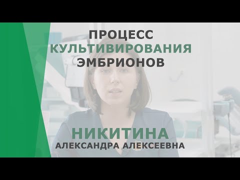 ЭКО или ИКСИ? | Никитина Александра Алексеевна | Эмбриолог Корл Казань