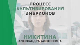 ЭКО или ИКСИ? | Никитина Александра Алексеевна | Эмбриолог Корл Казань