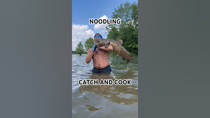 CATFISH NOODLING CATCH AND COOK