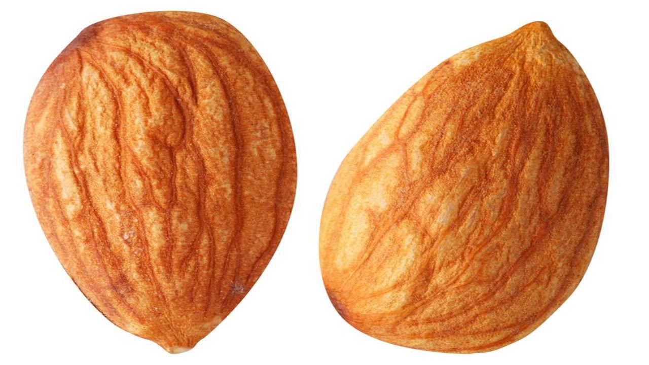 You Should Consume Almonds Every Day! In This Video Why YouTube