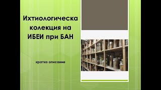 DiSSCo-BG: Ихтиологическа колекция на ИБЕИ при БАН