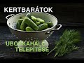 Kertbarátok - Uborkaháló telepítése