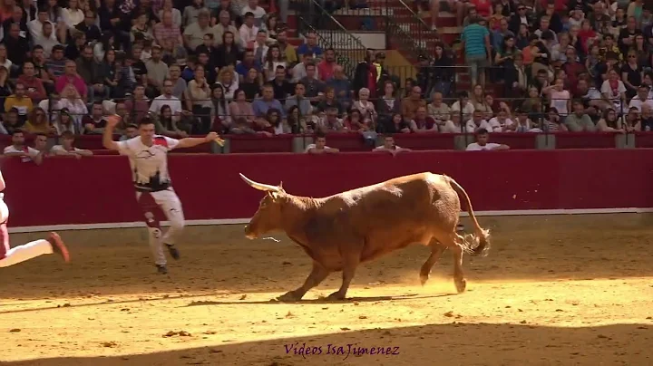 Concurso de recortadores Zaragoza - 09/10/2022 - J...