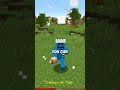 How to camouflage yourself in Minecraft!