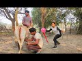 Non-stop Comedy Video 2021 Try To Not Laugh 😂 || By Bindas Fun Masti