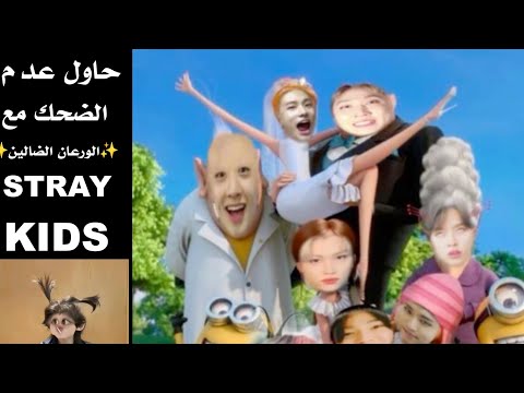 حاول عدم الضحك مع الورعان الضالين ستراي كيدز Straykids Bangchan Changbin Hanjisung Leeknow Felix 