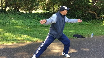 Tai Chi Form (Master George Xu)