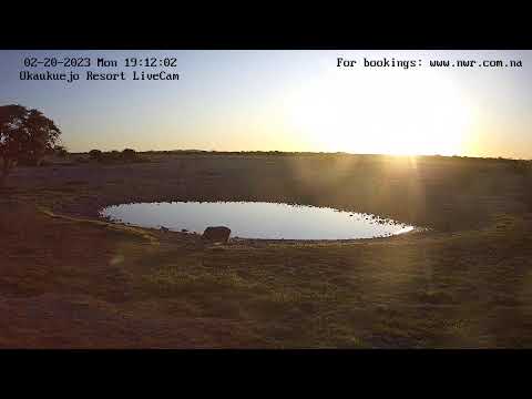 Okaukuejo Resort, Wildlife Waterhole: Live camera stream in the Etosha National Park in Namibia