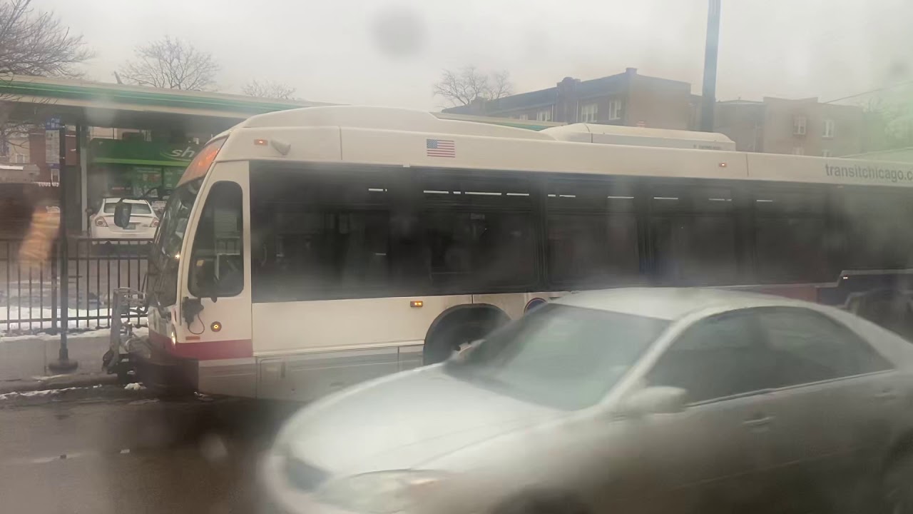 CTA 2015 Nova LFS Bus 8229 On Rt 53 Pulaski