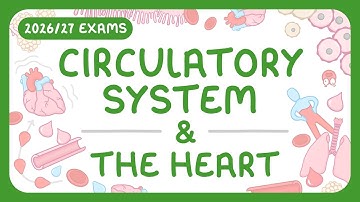 GCSE Biology - The Circulatory System | The Heart (2026/27 exams)