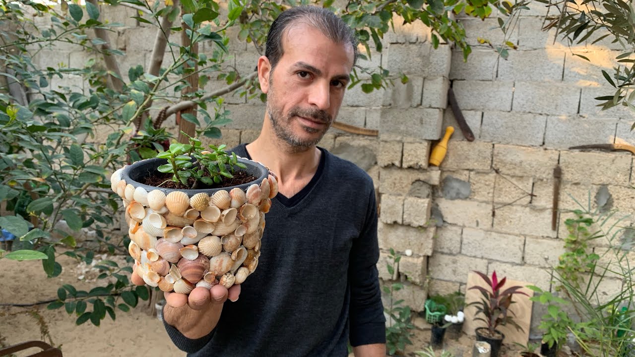 أفكار بسيطة وسهلة لتزيين أحواض الزرع تعطي الحديقة و البلكونه لمسة جمالية روعة 🐚🪴