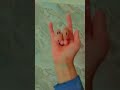 this is teddy, teddy is die