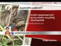 Bird Kuttanad
