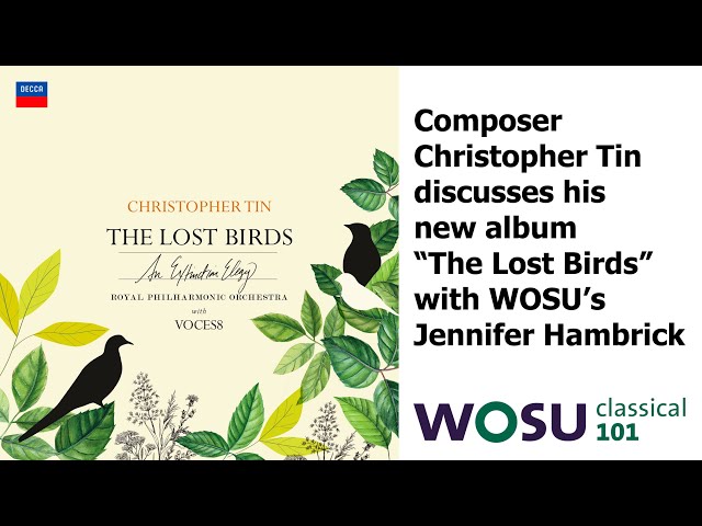 Christopher Tin - The Lost Birds