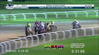 Vidéo de la course PMU PRIX OCEAN SHORE