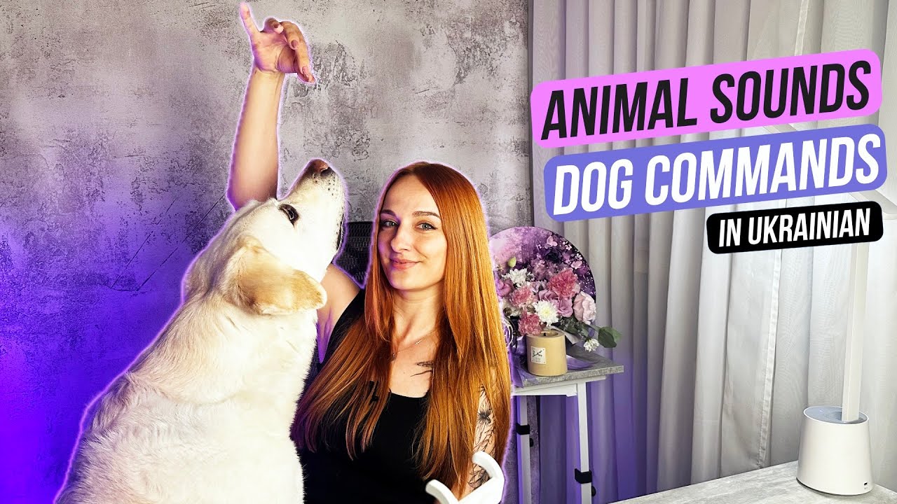 Ukrainian for Pet Lovers: Animal Sounds & Dog Commands 🐾