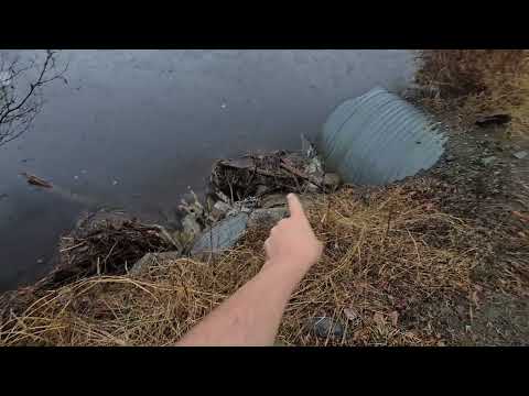 Getting My Truck Horribly Stuck While Vlogging
