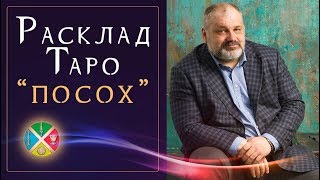 4 расклада Таро на человека в сложной жизненной ситуации. Расклад #1: Посох. 4 расклада Таро на человека в сложной жизненной ситуации. Расклад #1: Посох.