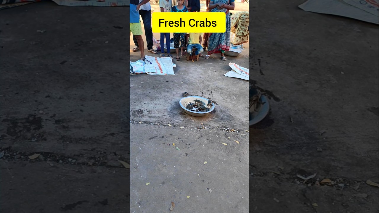 Fresh Crabs Auction 🤯in Yanam 