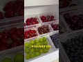 三百只寵物挨個餵一遍需要多少時間？記錄一次我的日常！#shorts #animals #pets #搞笑 #寵物