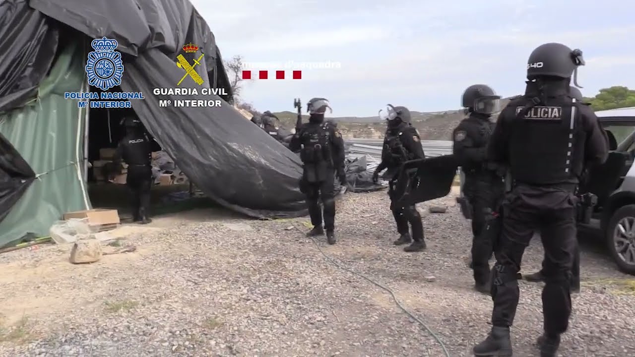 Incautadas más de 50 toneladas de marihuana en ocho plantaciones en dos provincias catalanas