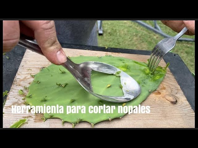 How to Clean Nopales - Como Limpiar Nopales {Video}