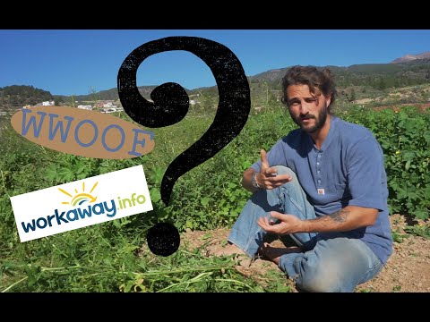 Workaway, WWOOF und UgH |  Infos, Unterschiede, meine Meinung