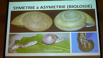 Co se posuzuje v rámci posuzování EIA?