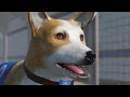 Horror vs. Corgi Doge | Lost in Vivo Part 1