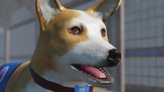 Horror vs. Corgi Doge | Lost in Vivo Part 1