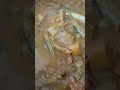 Healthy Drumsticks Puli Kulambu | #Shorts | Cool Places