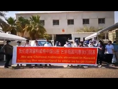 中國公民在中共駐科威特大使館前拉橫幅，乞求回家｜#大紀元新聞網